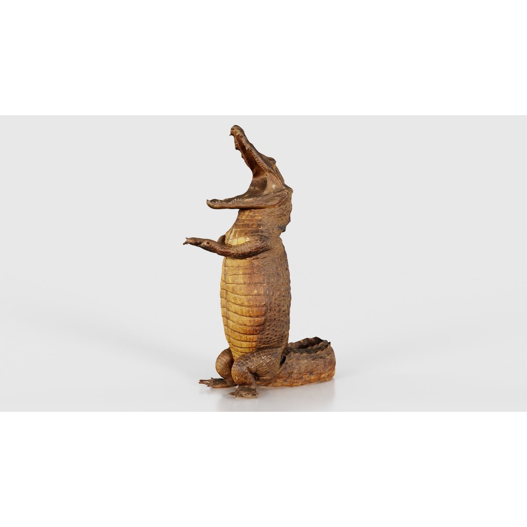 Crocodile Statue 3D Model – Low Poly PBR Asset for Blender, FBX - View 25