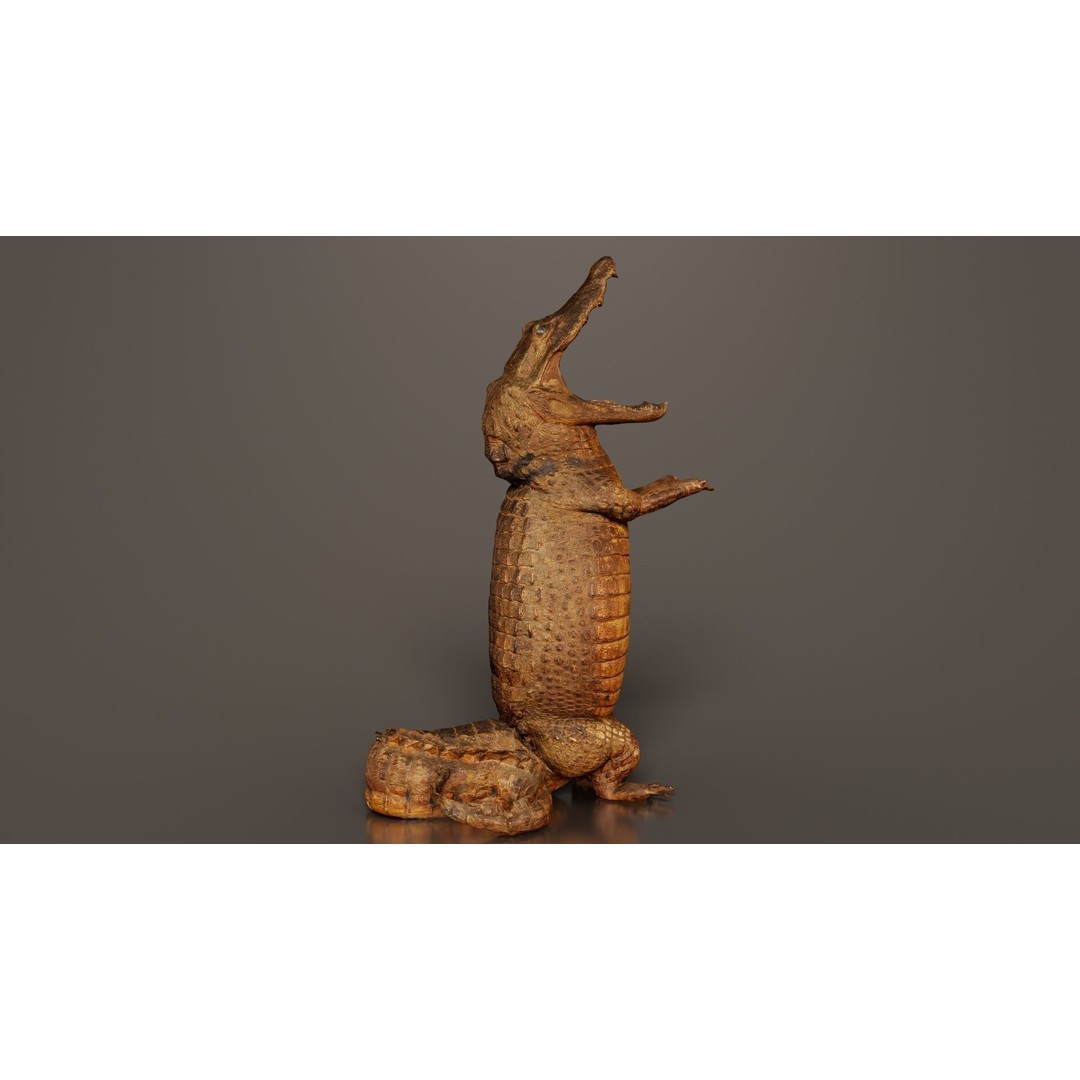Crocodile Statue 3D Model – Low Poly PBR Asset for Blender, FBX - View 8