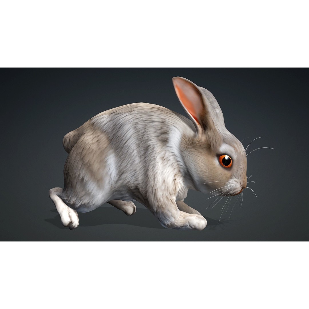 Rabbit 3D Model – Rigged Animated Character, PBR Textures, FBX - View 10
