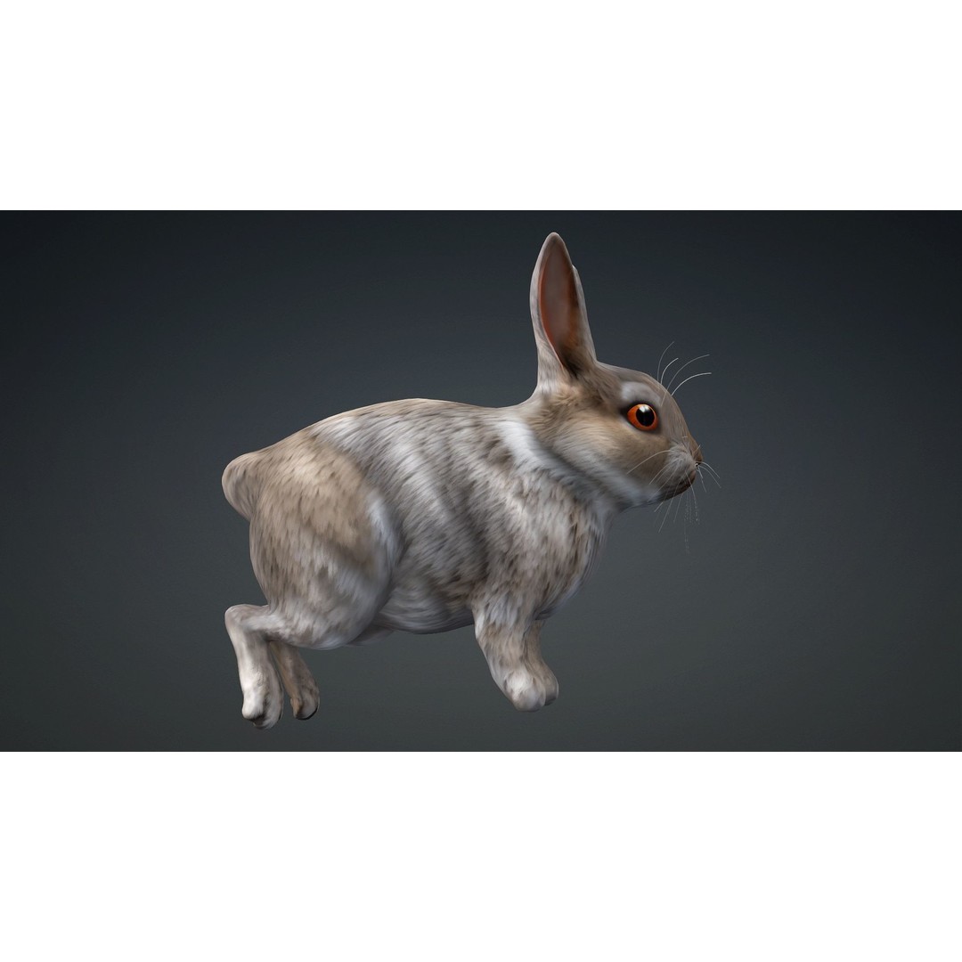 Rabbit 3D Model – Rigged Animated Character, PBR Textures, FBX - View 11