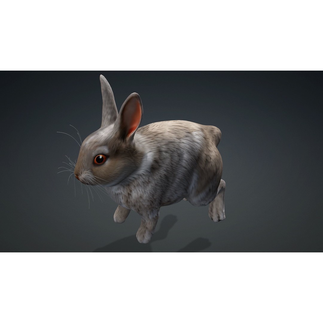 Rabbit 3D Model – Rigged Animated Character, PBR Textures, FBX - View 12