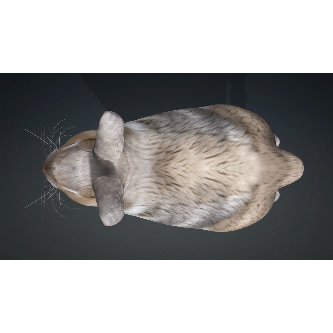 Rabbit 3D Model – Rigged Animated Character, PBR Textures, FBX - View 13