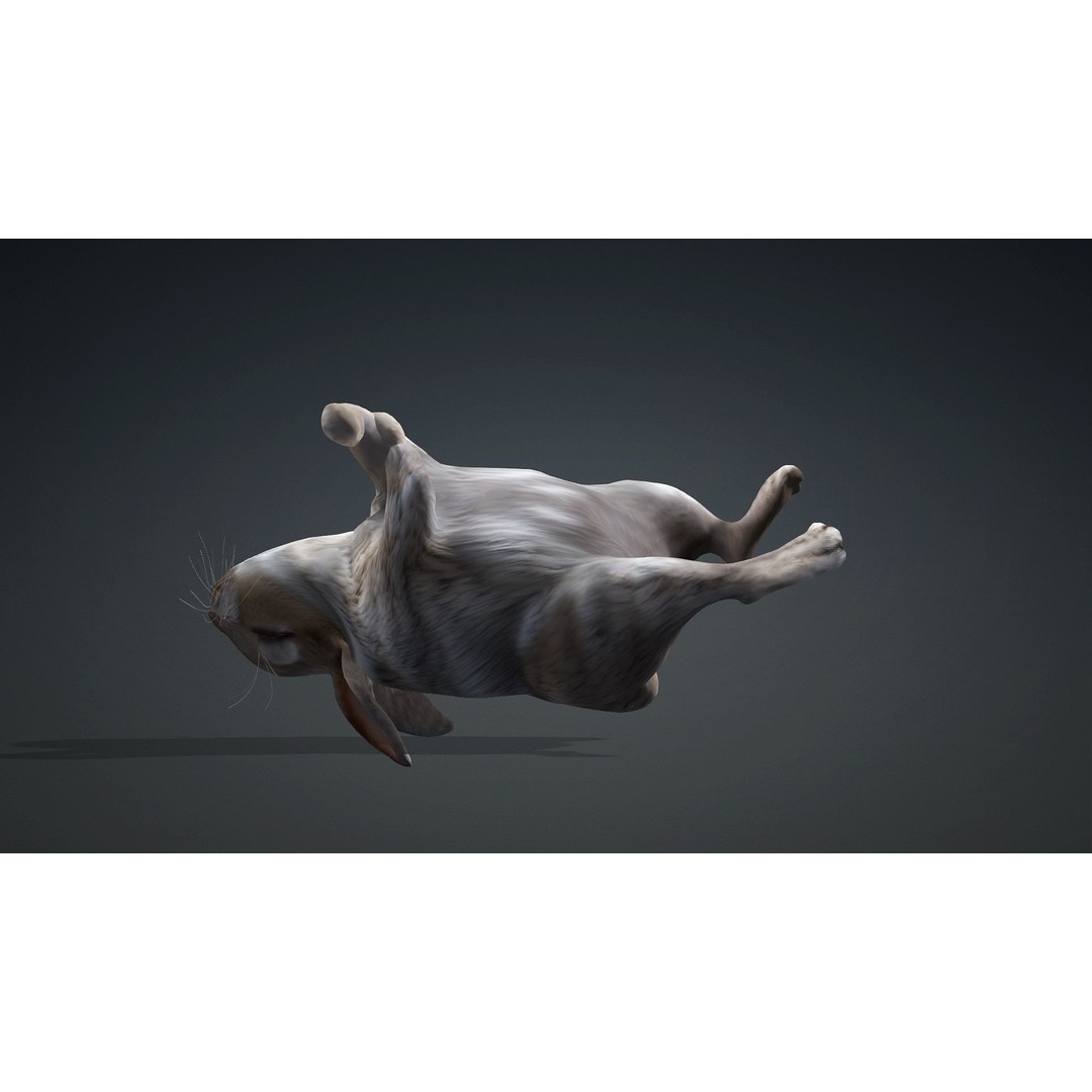 Rabbit 3D Model – Rigged Animated Character, PBR Textures, FBX - View 14
