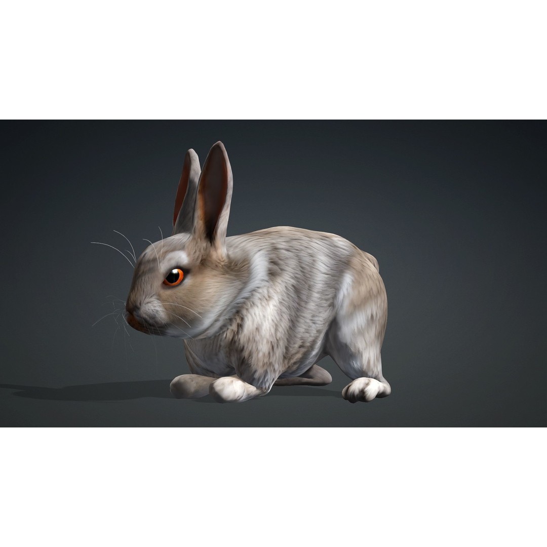 Rabbit 3D Model – Rigged Animated Character, PBR Textures, FBX - View 15