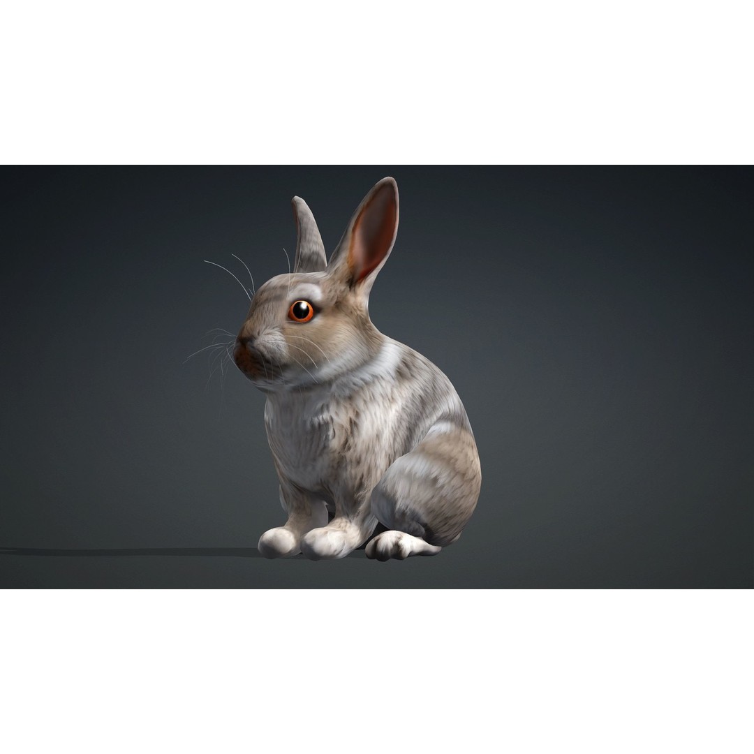 Rabbit 3D Model – Rigged Animated Character, PBR Textures, FBX - View 17