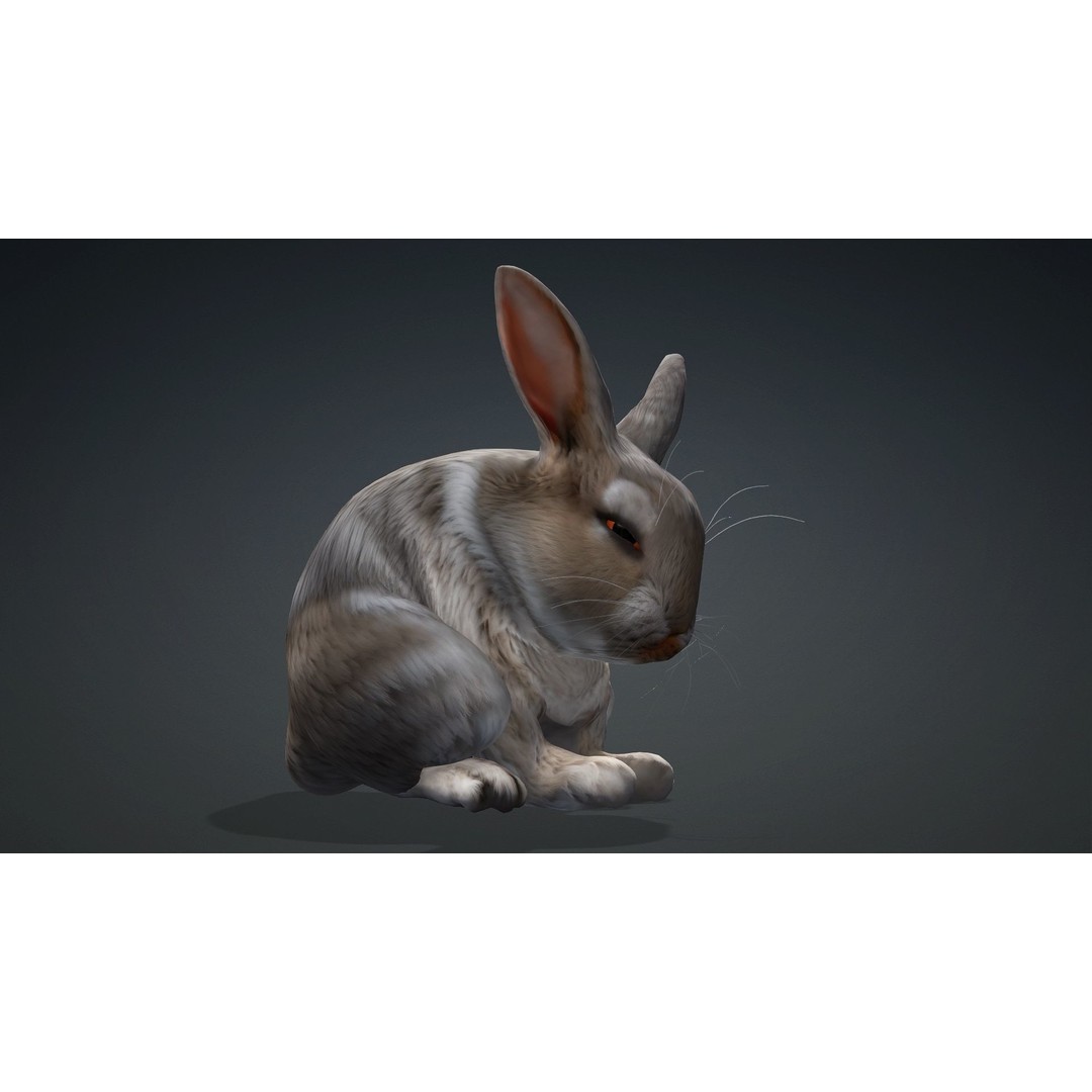 Rabbit 3D Model – Rigged Animated Character, PBR Textures, FBX - View 18