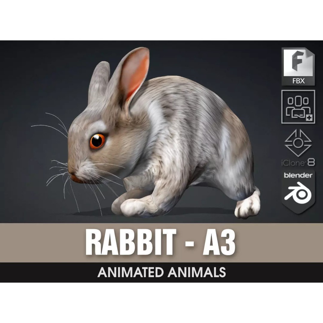 Rabbit 3D Model – Rigged Animated Character, PBR Textures, FBX - View 2