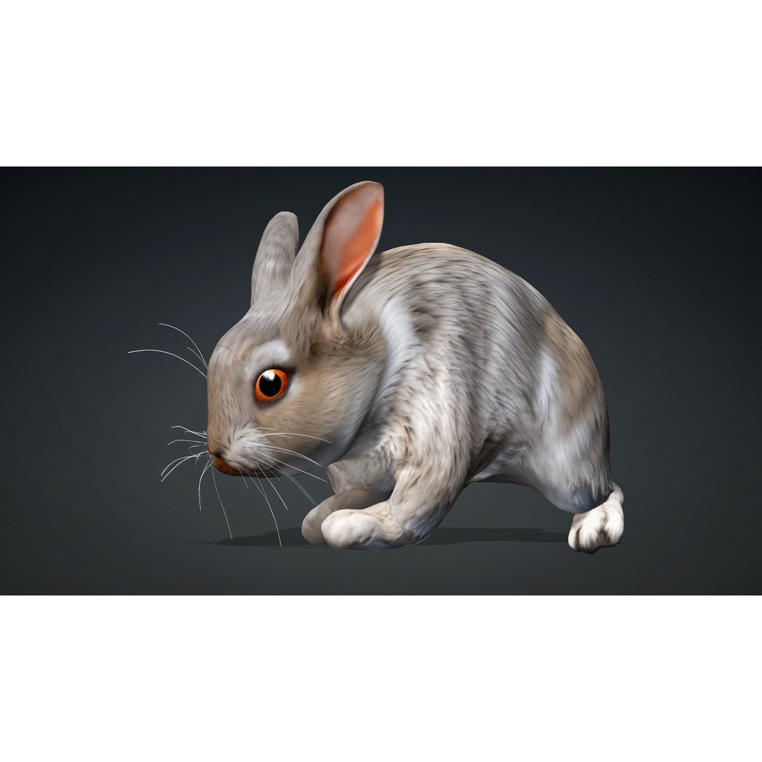 Rabbit 3D Model – Rigged Animated Character, PBR Textures, FBX - View 3