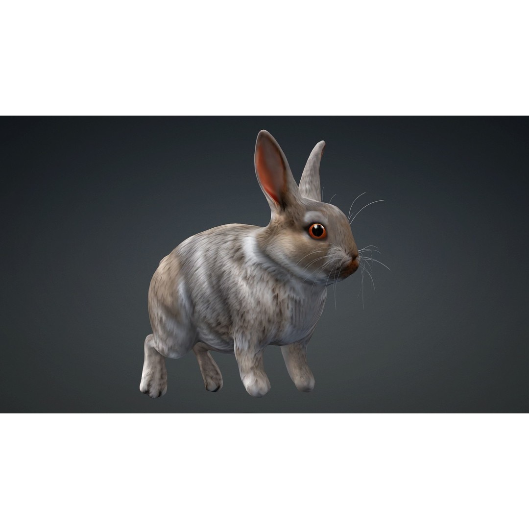 Rabbit 3D Model – Rigged Animated Character, PBR Textures, FBX - View 4