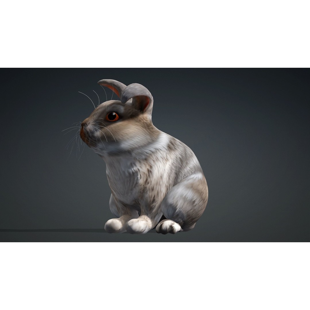Rabbit 3D Model – Rigged Animated Character, PBR Textures, FBX - View 5