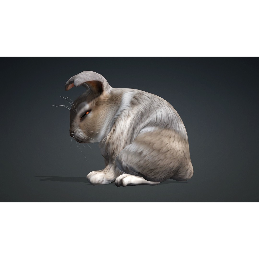 Rabbit 3D Model – Rigged Animated Character, PBR Textures, FBX - View 6