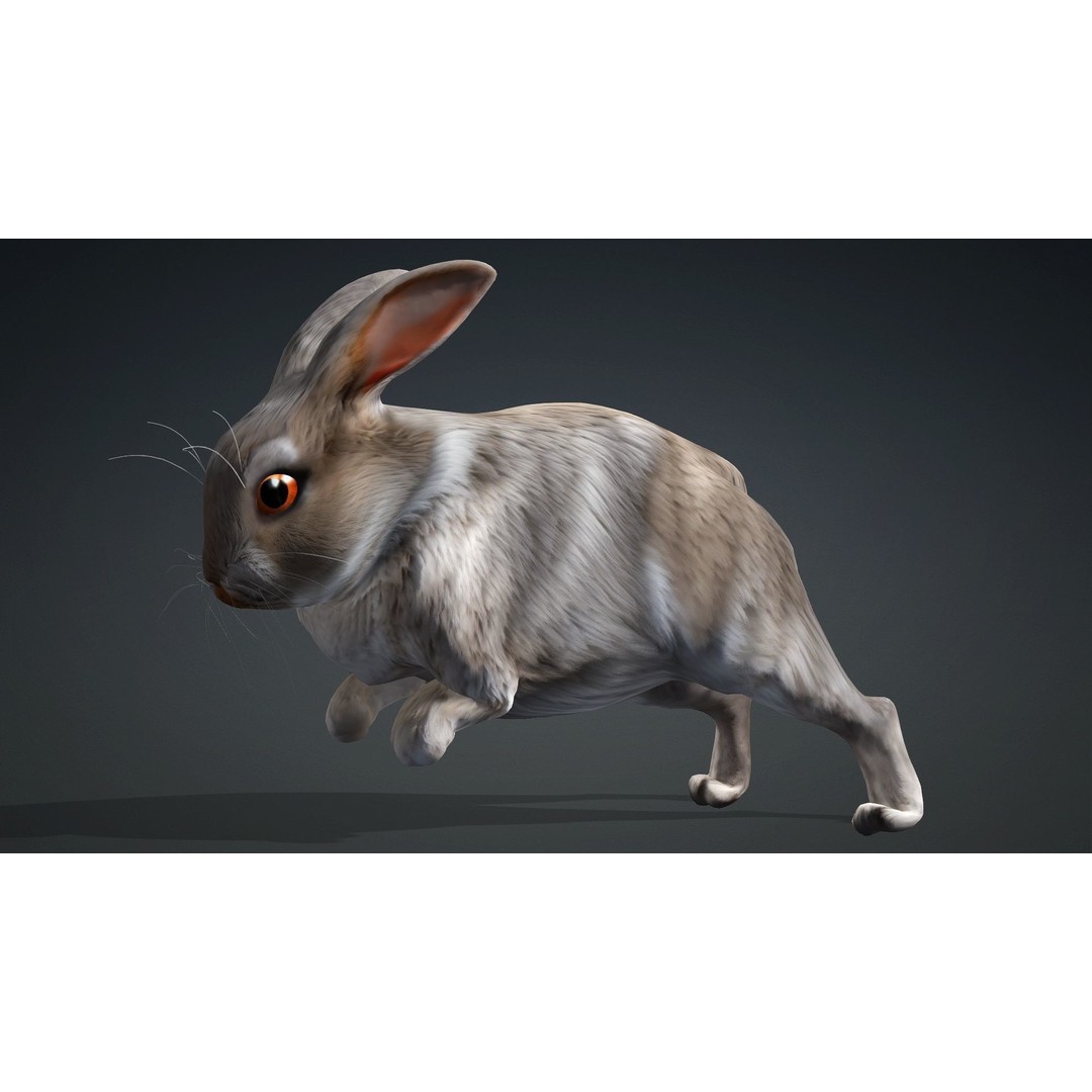 Rabbit 3D Model – Rigged Animated Character, PBR Textures, FBX - View 7