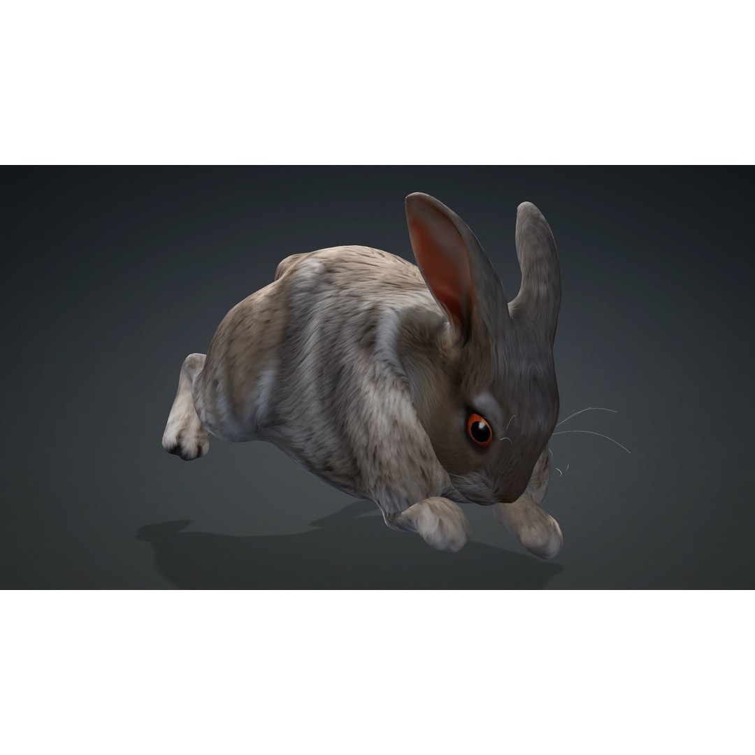 Rabbit 3D Model – Rigged Animated Character, PBR Textures, FBX - View 8