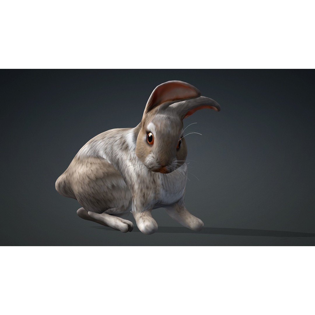 Rabbit 3D Model – Rigged Animated Character, PBR Textures, FBX - View 9