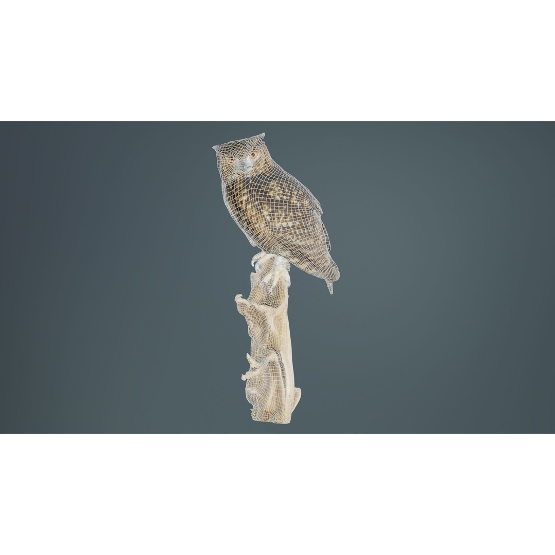 Cape Eagle Owl 3D Model – Low Poly Game Asset, FBX, PBR Textures - View 11