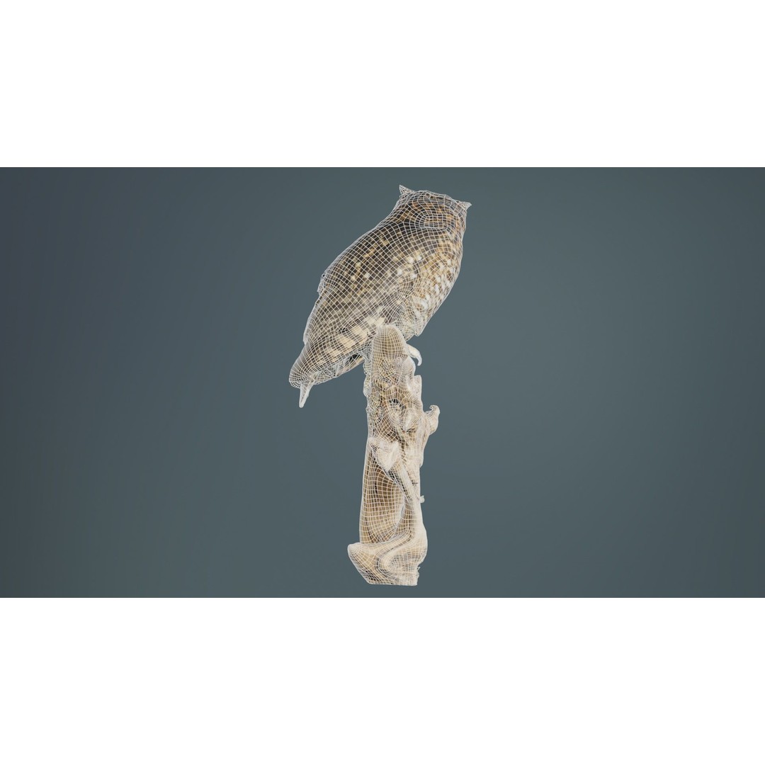 Cape Eagle Owl 3D Model – Low Poly Game Asset, FBX, PBR Textures - View 12