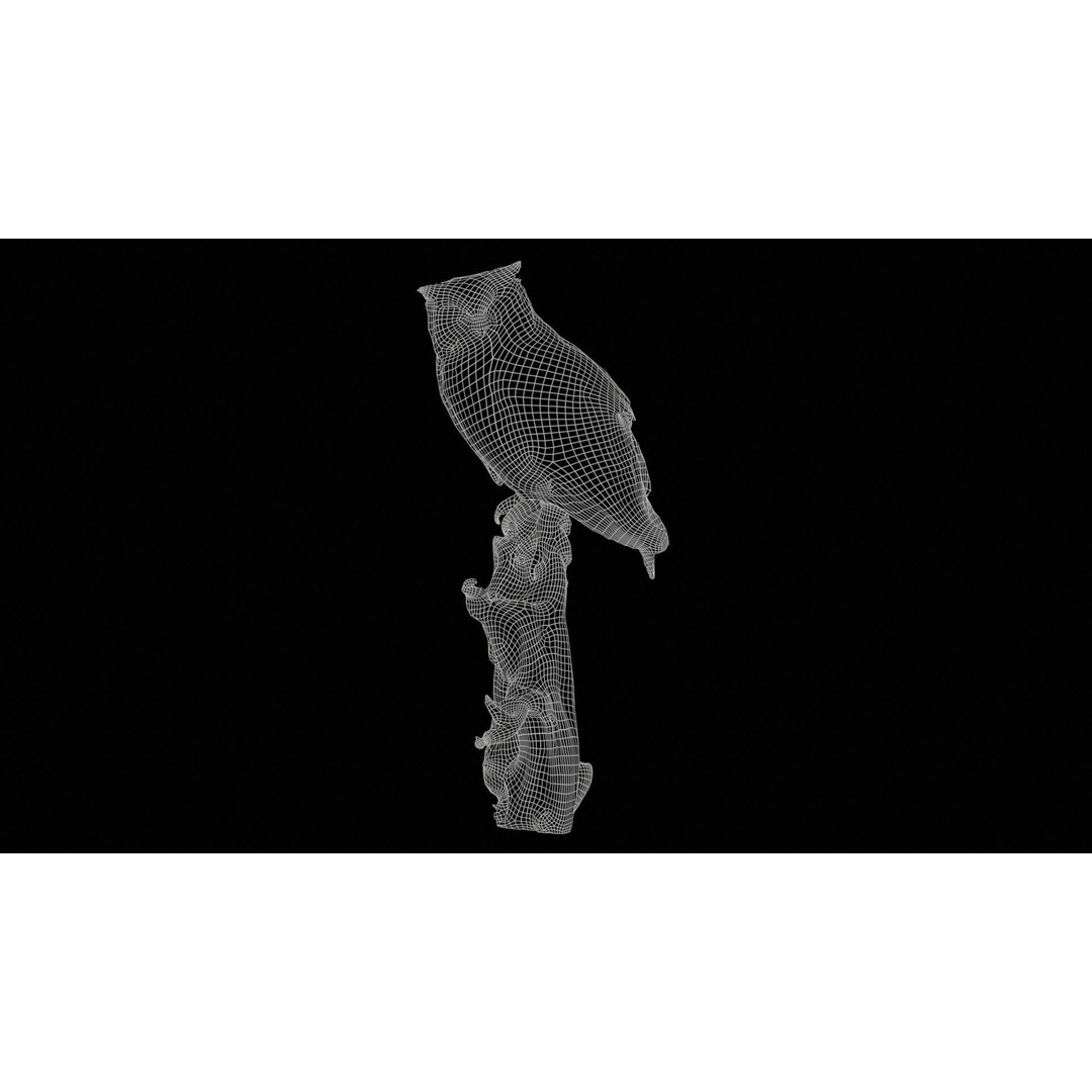 Cape Eagle Owl 3D Model – Low Poly Game Asset, FBX, PBR Textures - View 13