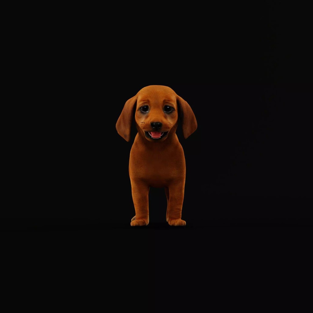 Dachshund Puppy Dog 3D Model – Low Poly Game Ready Asset, FBX - View 11
