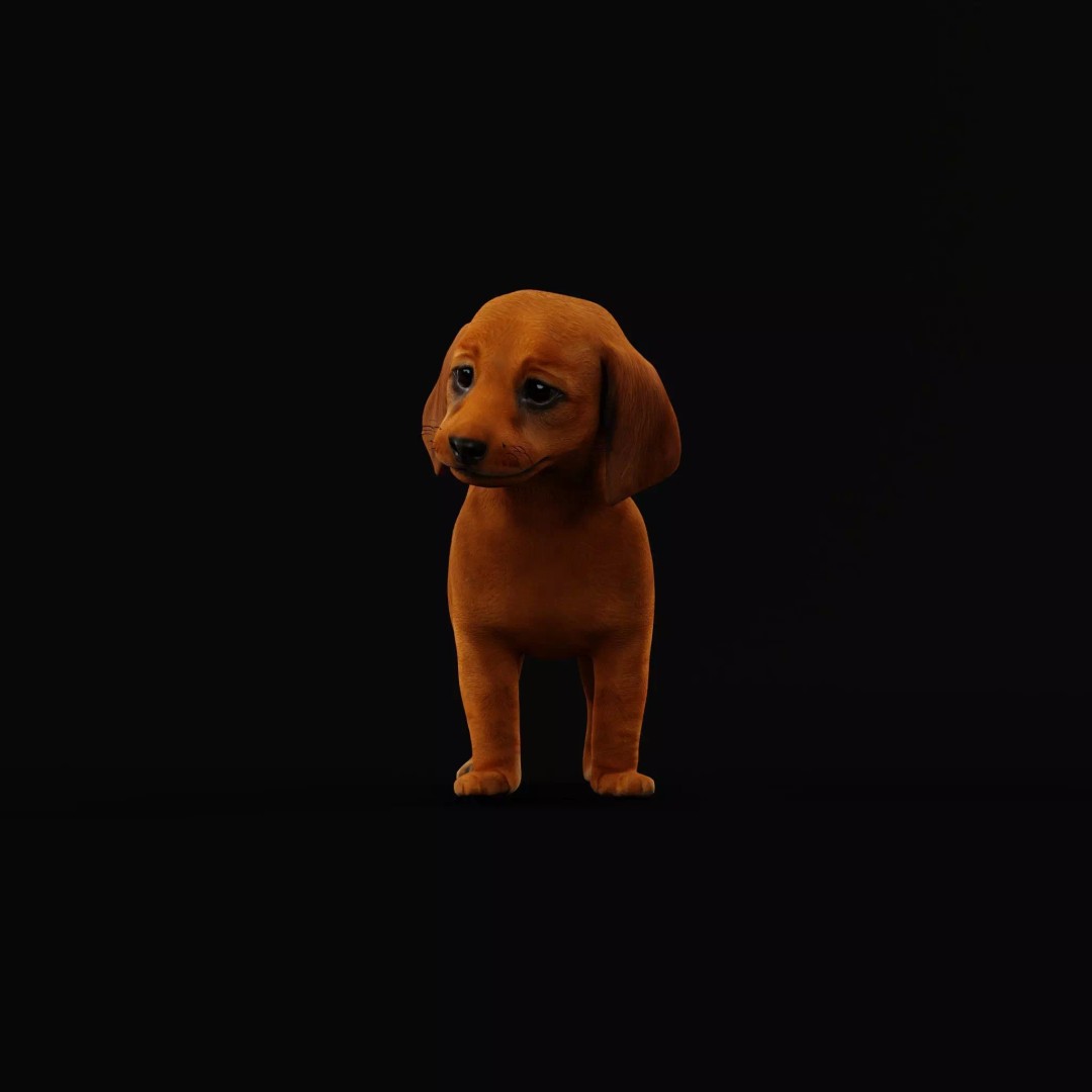 Dachshund Puppy Dog 3D Model – Low Poly Game Ready Asset, FBX - View 12