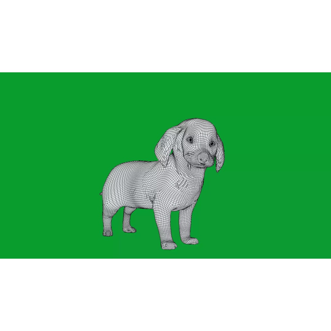 Dachshund Puppy Dog 3D Model – Low Poly Game Ready Asset, FBX - View 15