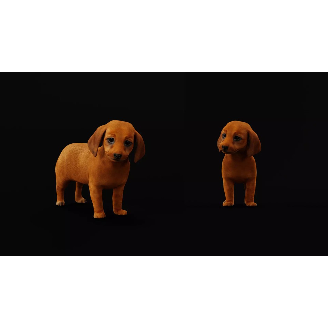 Dachshund Puppy Dog 3D Model – Low Poly Game Ready Asset, FBX - View 17