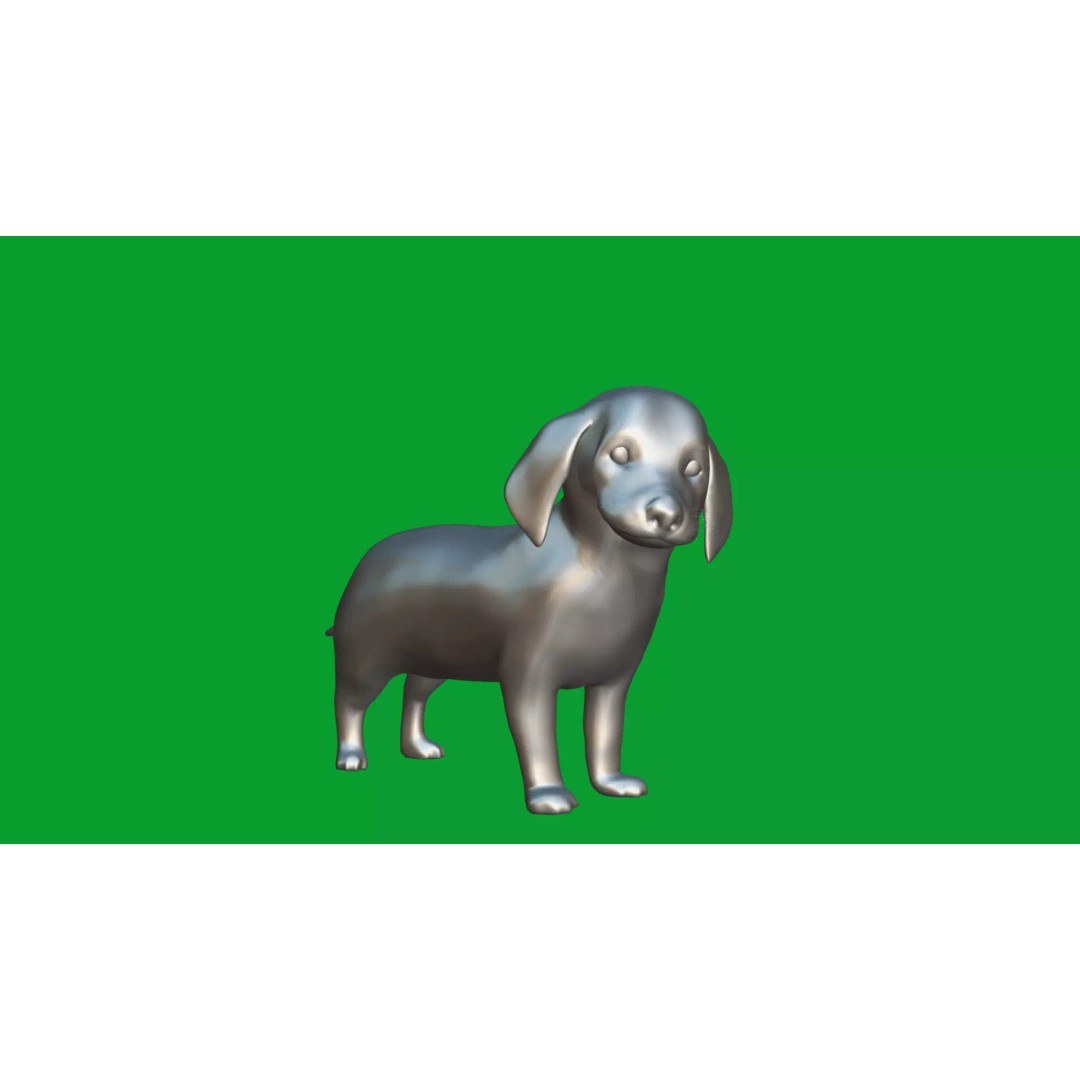 Dachshund Puppy Dog 3D Model – Low Poly Game Ready Asset, FBX - View 18