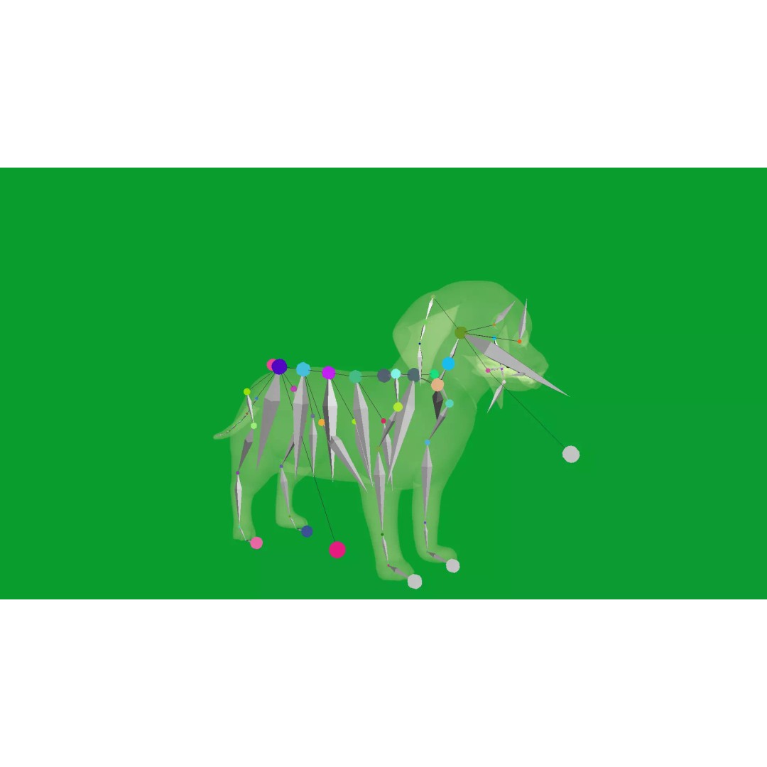 Dachshund Puppy Dog 3D Model – Low Poly Game Ready Asset, FBX - View 21
