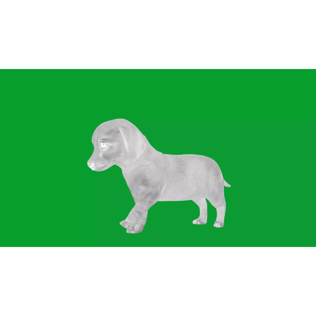 Dachshund Puppy Dog 3D Model – Low Poly Game Ready Asset, FBX - View 22