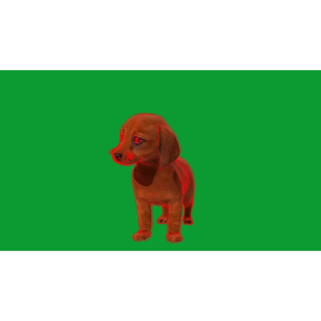 Dachshund Puppy Dog 3D Model – Low Poly Game Ready Asset, FBX - View 32