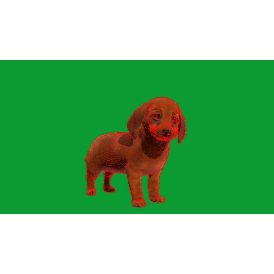 Dachshund Puppy Dog 3D Model – Low Poly Game Ready Asset, FBX - View 35