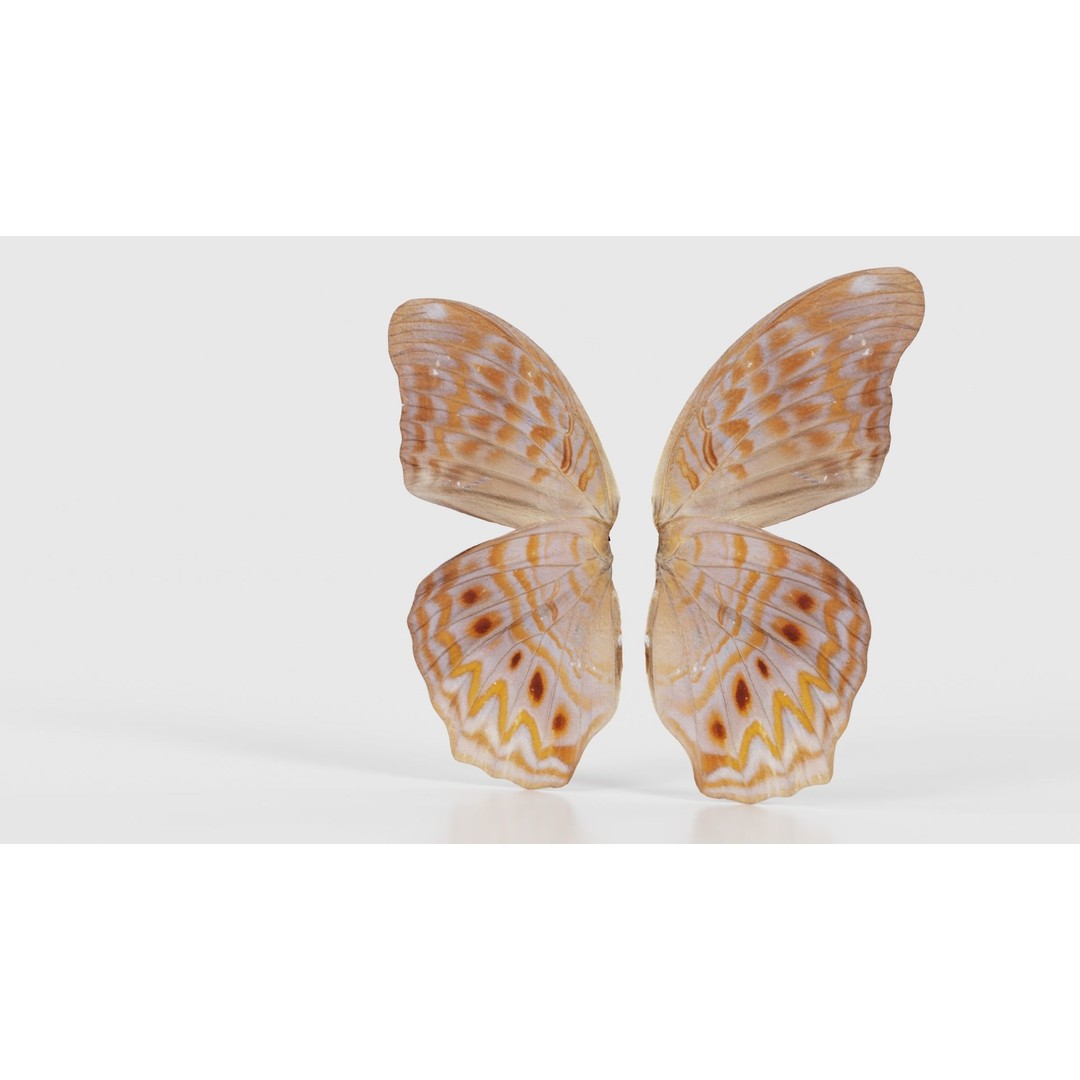 Great Eggfly 3D Model – Low Poly Insect, PBR Textures, FBX