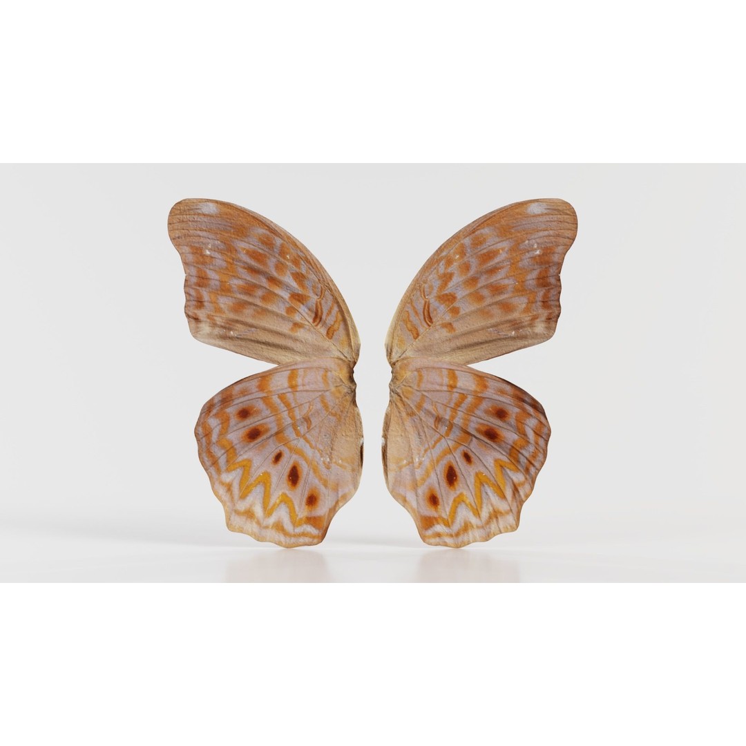Great Eggfly 3D Model – Low Poly Insect, PBR Textures, FBX - View 10
