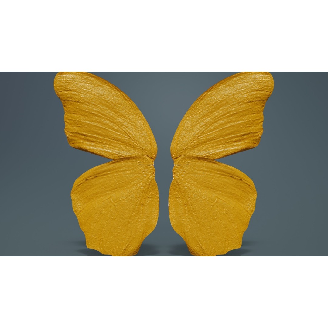 Great Eggfly 3D Model – Low Poly Insect, PBR Textures, FBX - View 15