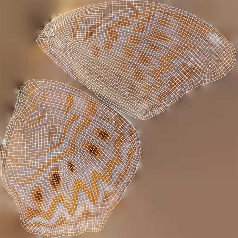 Great Eggfly 3D Model – Low Poly Insect, PBR Textures, FBX - View 16