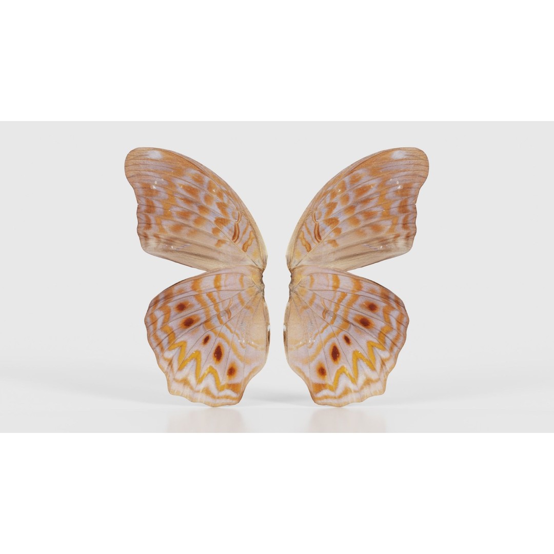 Great Eggfly 3D Model – Low Poly Insect, PBR Textures, FBX - View 17