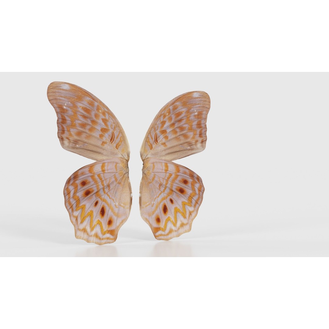 Great Eggfly 3D Model – Low Poly Insect, PBR Textures, FBX - View 18