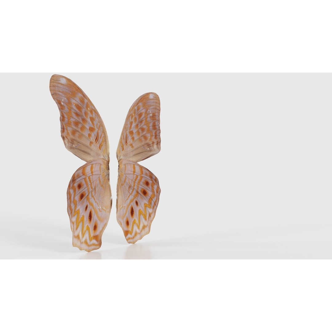 Great Eggfly 3D Model – Low Poly Insect, PBR Textures, FBX - View 19