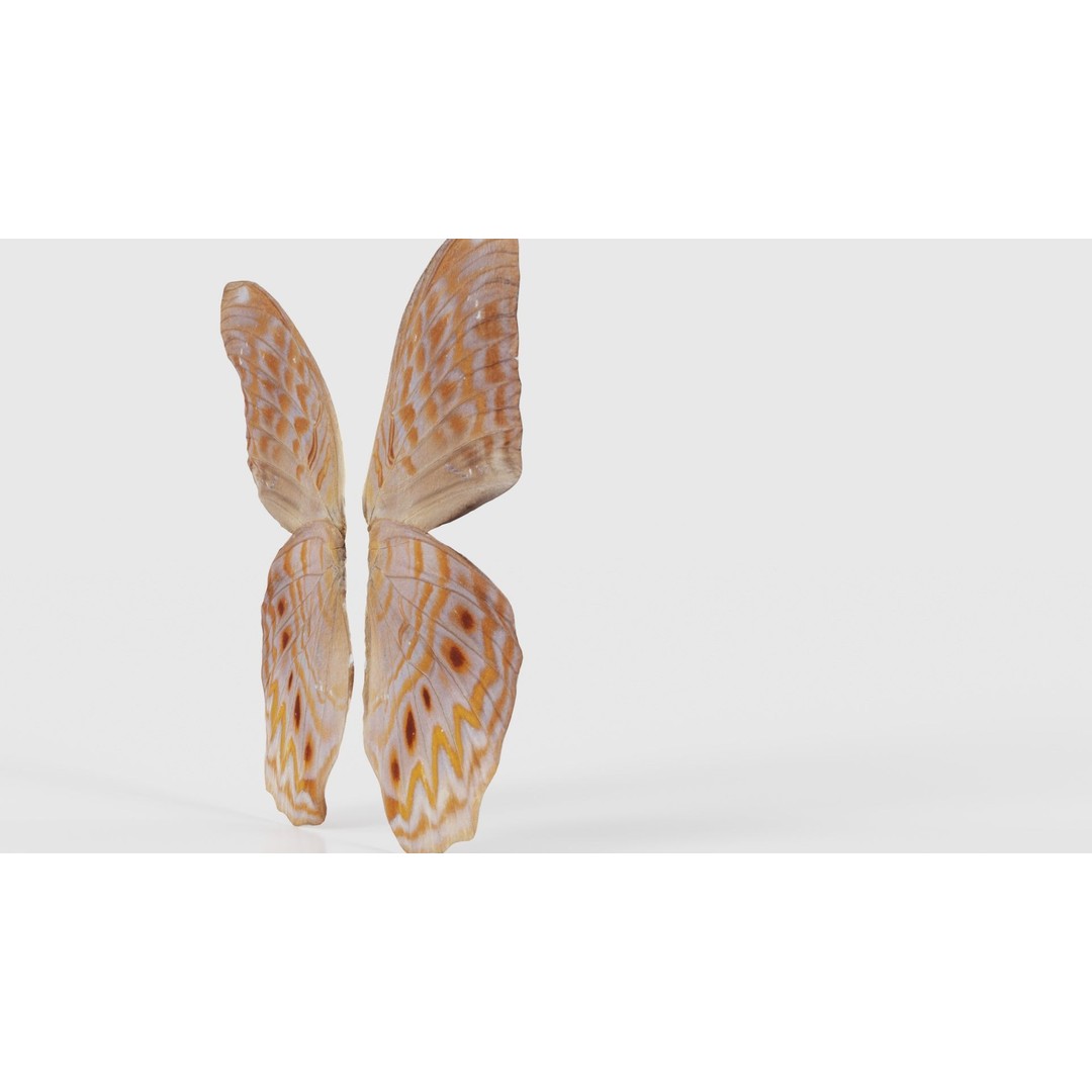 Great Eggfly 3D Model – Low Poly Insect, PBR Textures, FBX - View 21