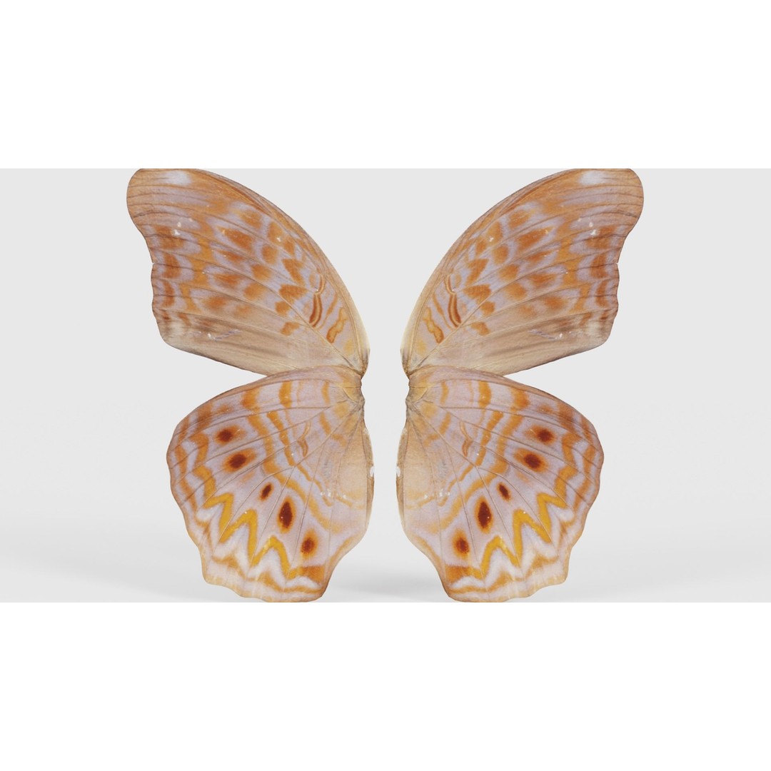 Great Eggfly 3D Model – Low Poly Insect, PBR Textures, FBX - View 23