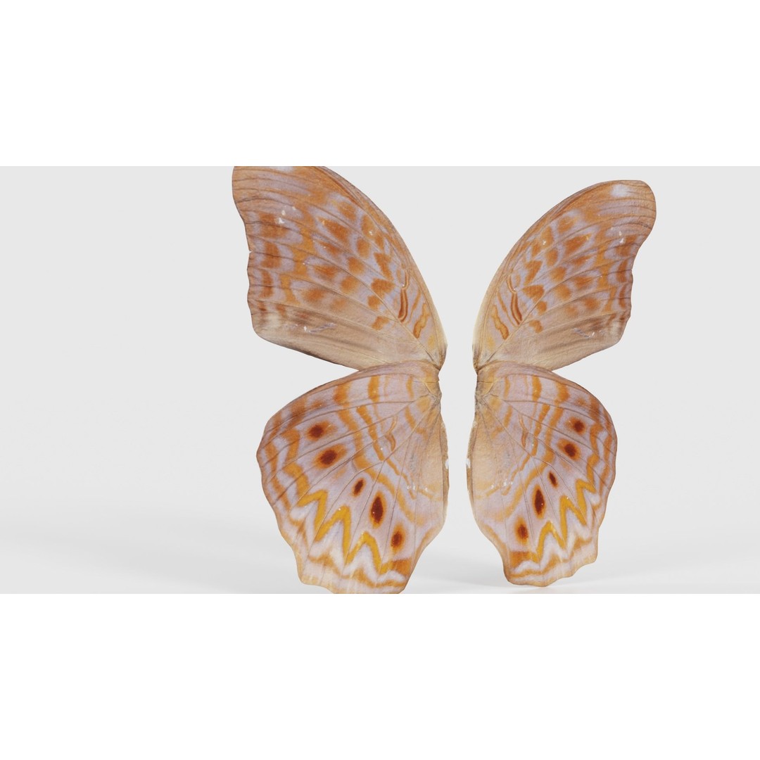 Great Eggfly 3D Model – Low Poly Insect, PBR Textures, FBX - View 24