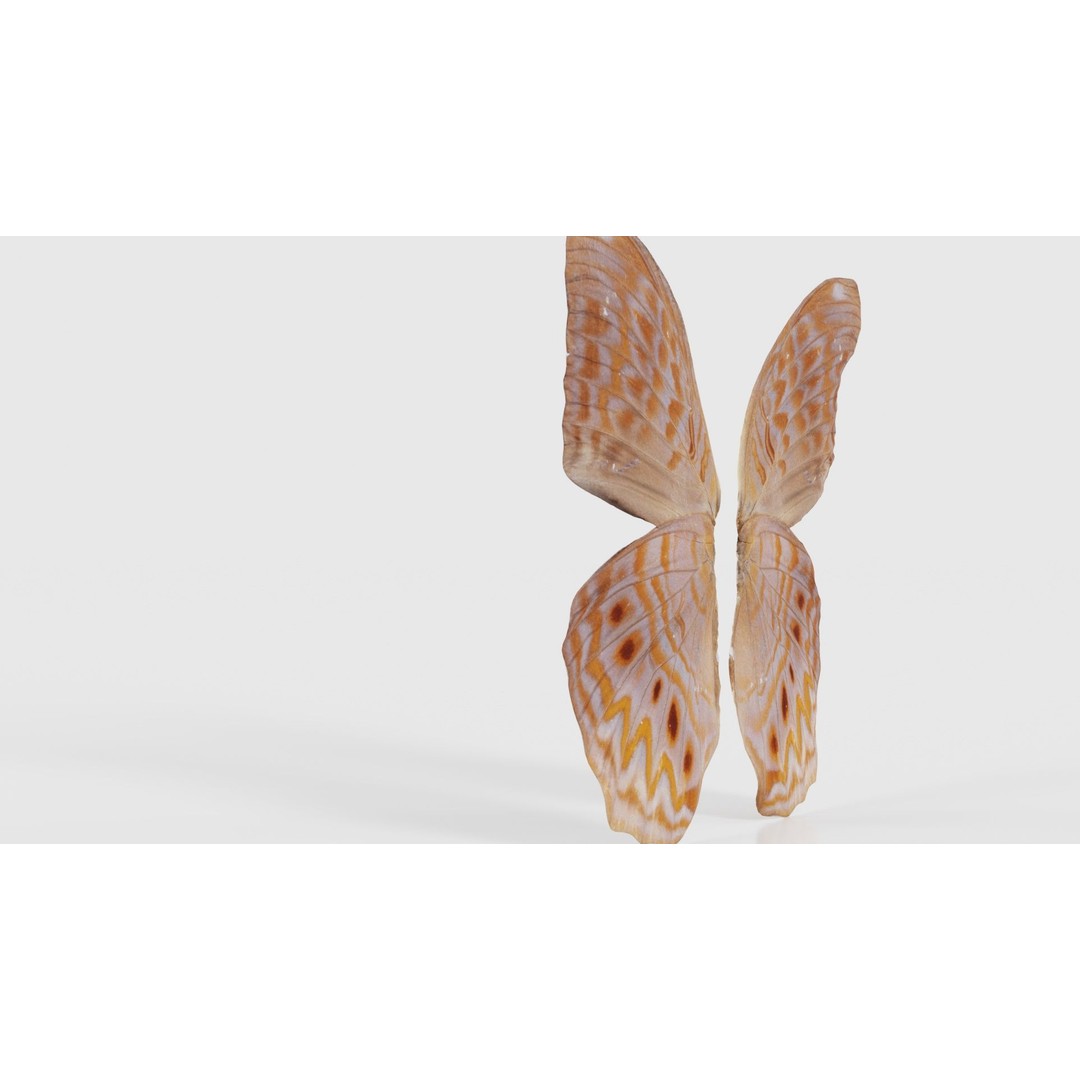Great Eggfly 3D Model – Low Poly Insect, PBR Textures, FBX - View 25