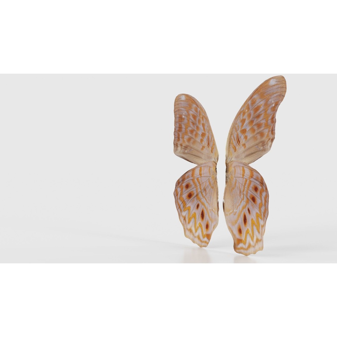 Great Eggfly 3D Model – Low Poly Insect, PBR Textures, FBX - View 27