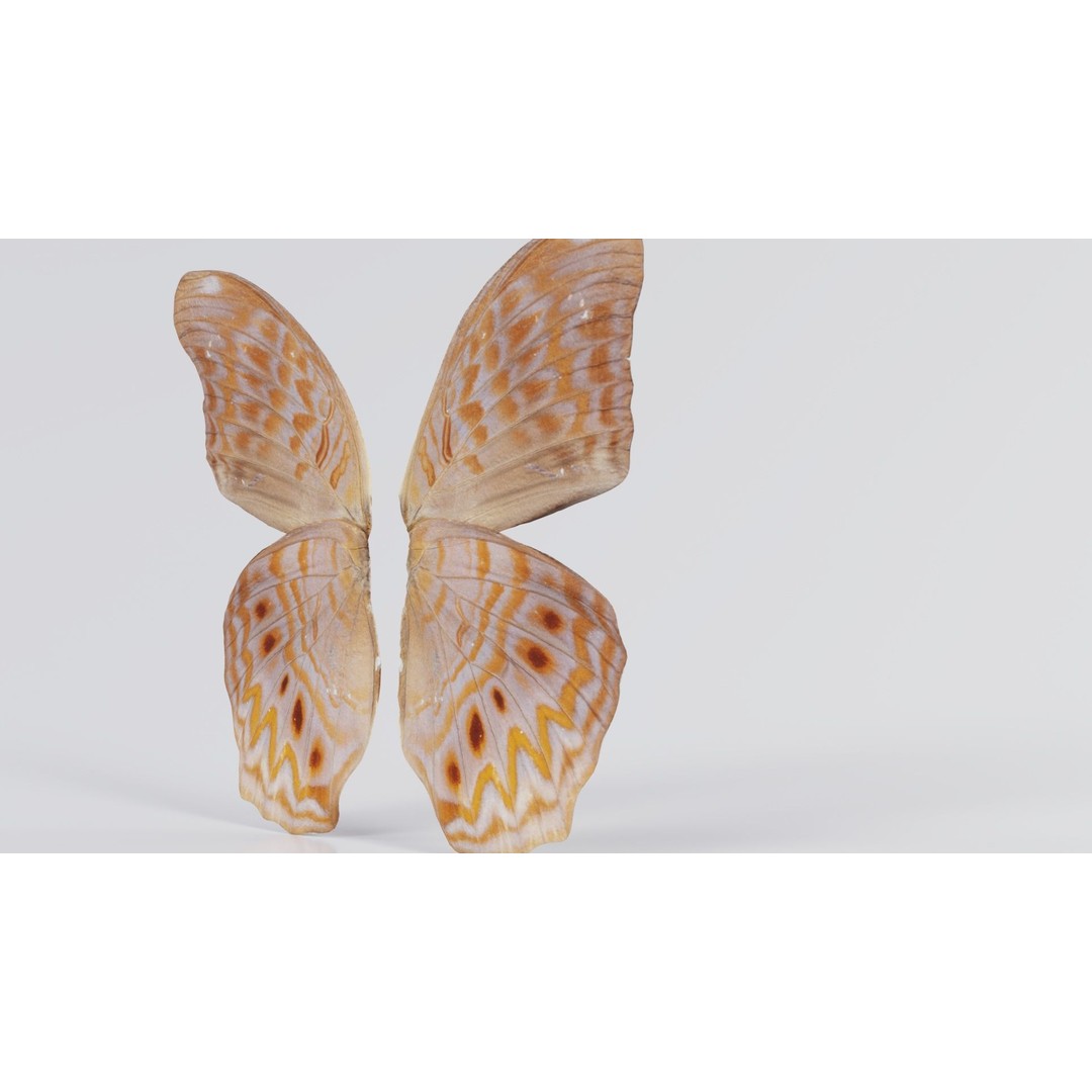 Great Eggfly 3D Model – Low Poly Insect, PBR Textures, FBX - View 3