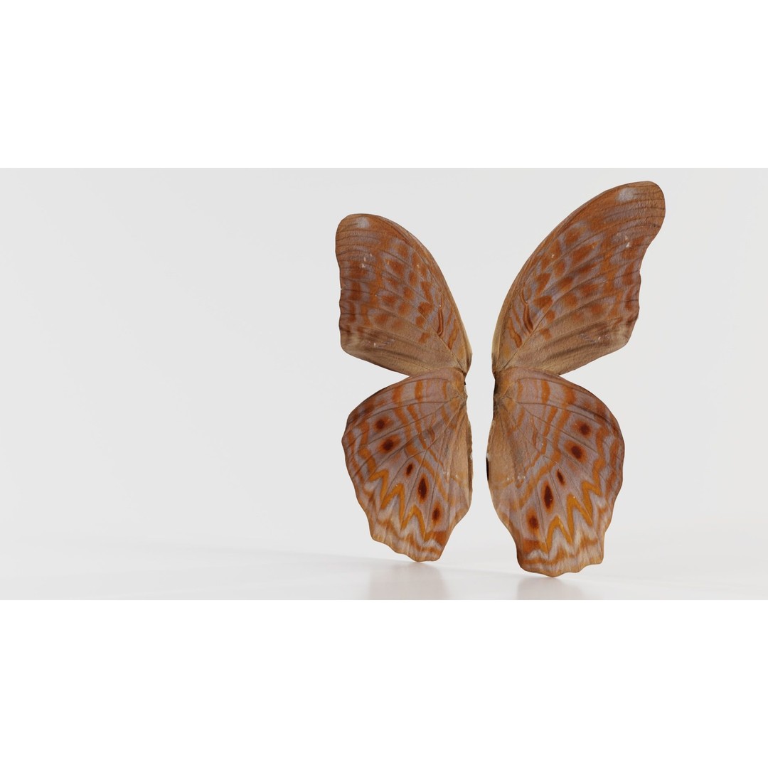 Great Eggfly 3D Model – Low Poly Insect, PBR Textures, FBX - View 4