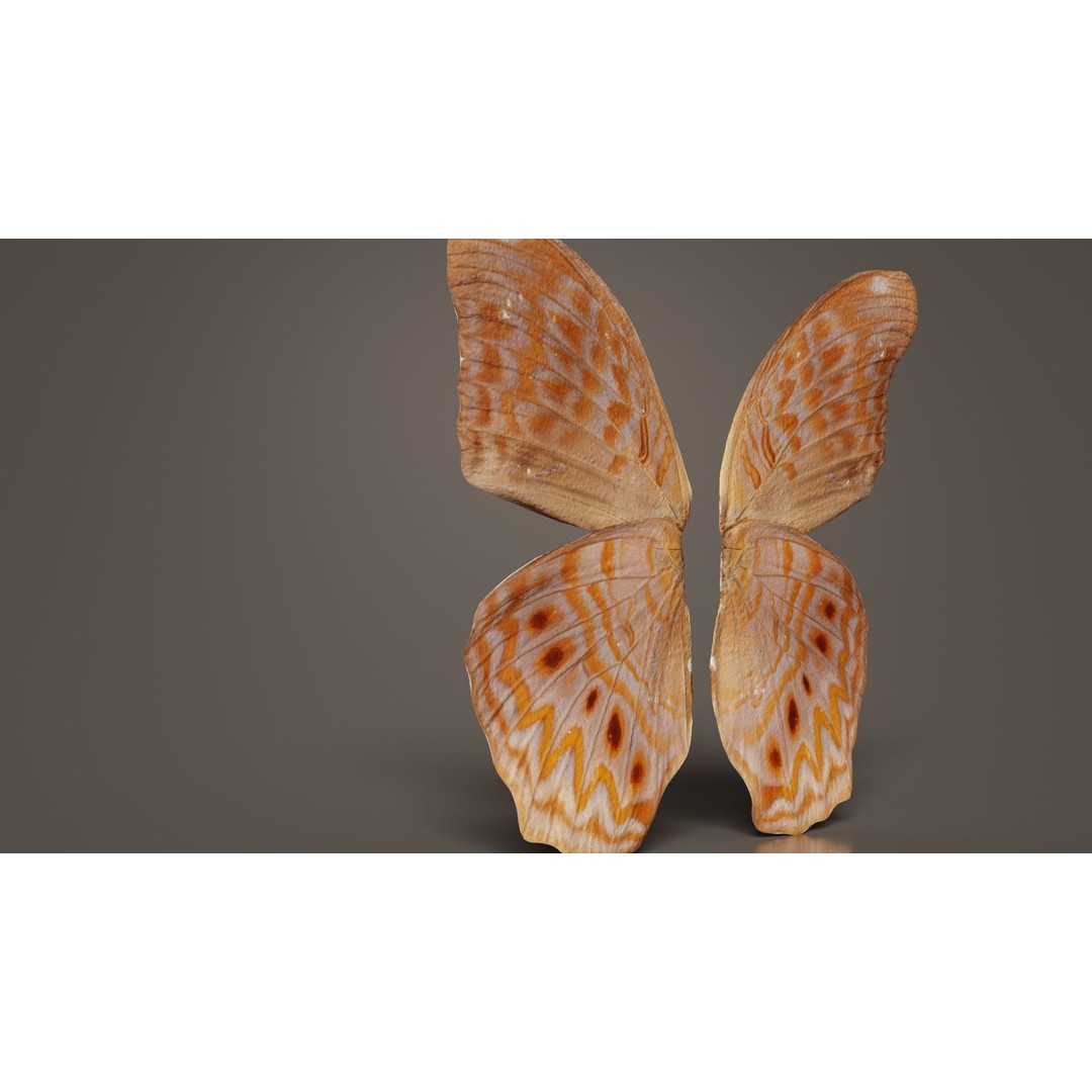 Great Eggfly 3D Model – Low Poly Insect, PBR Textures, FBX - View 5