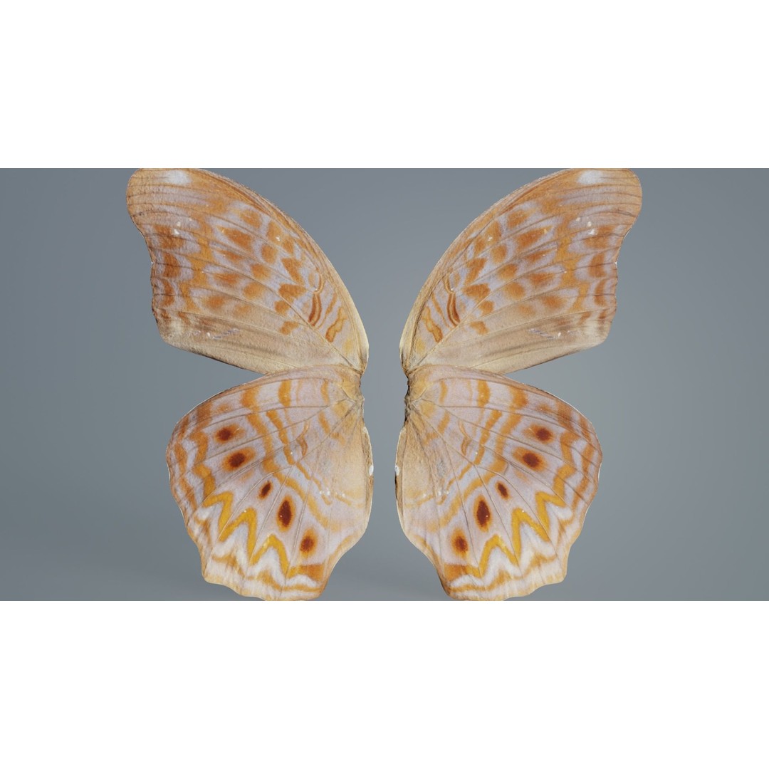 Great Eggfly 3D Model – Low Poly Insect, PBR Textures, FBX - View 6