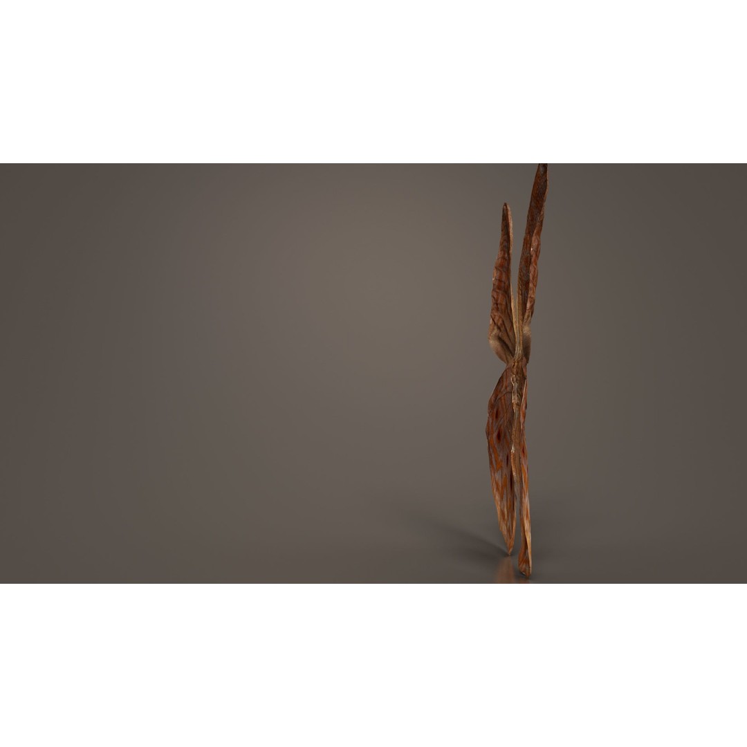 Great Eggfly 3D Model – Low Poly Insect, PBR Textures, FBX - View 7