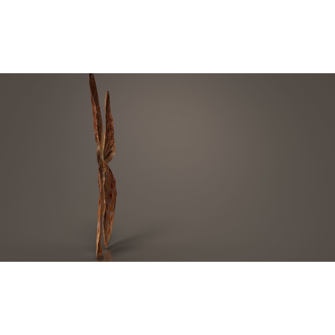 Great Eggfly 3D Model – Low Poly Insect, PBR Textures, FBX - View 8
