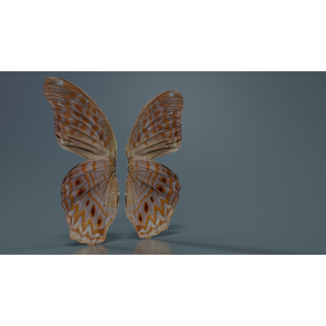 Great Eggfly 3D Model – Low Poly Insect, PBR Textures, FBX - View 9