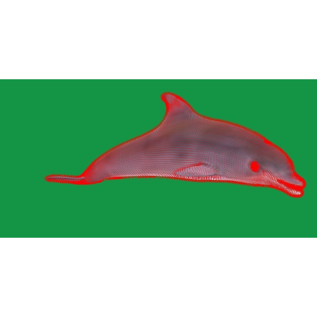 Bottlenose Dolphin 3D Model – Cute Rigged Animation with PBR Textures - View 13